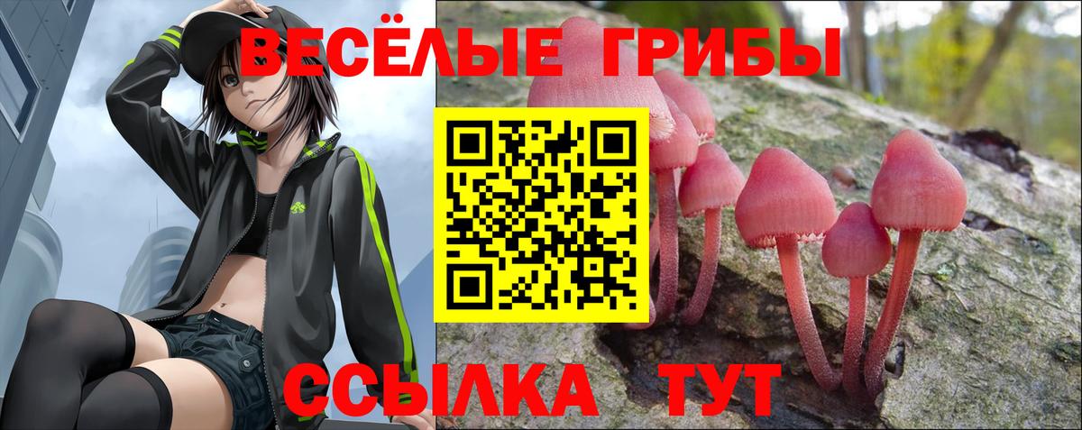 Псилоцибиновые грибы ЛСД Искитим